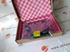 DS200ipcsg1a